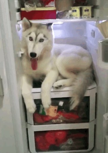 krish kalathiya tweet media