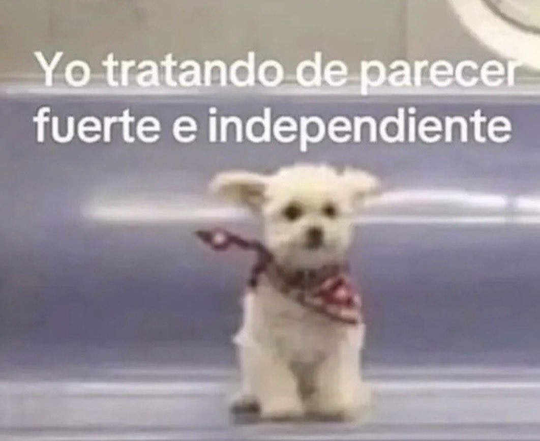 últimamente soy