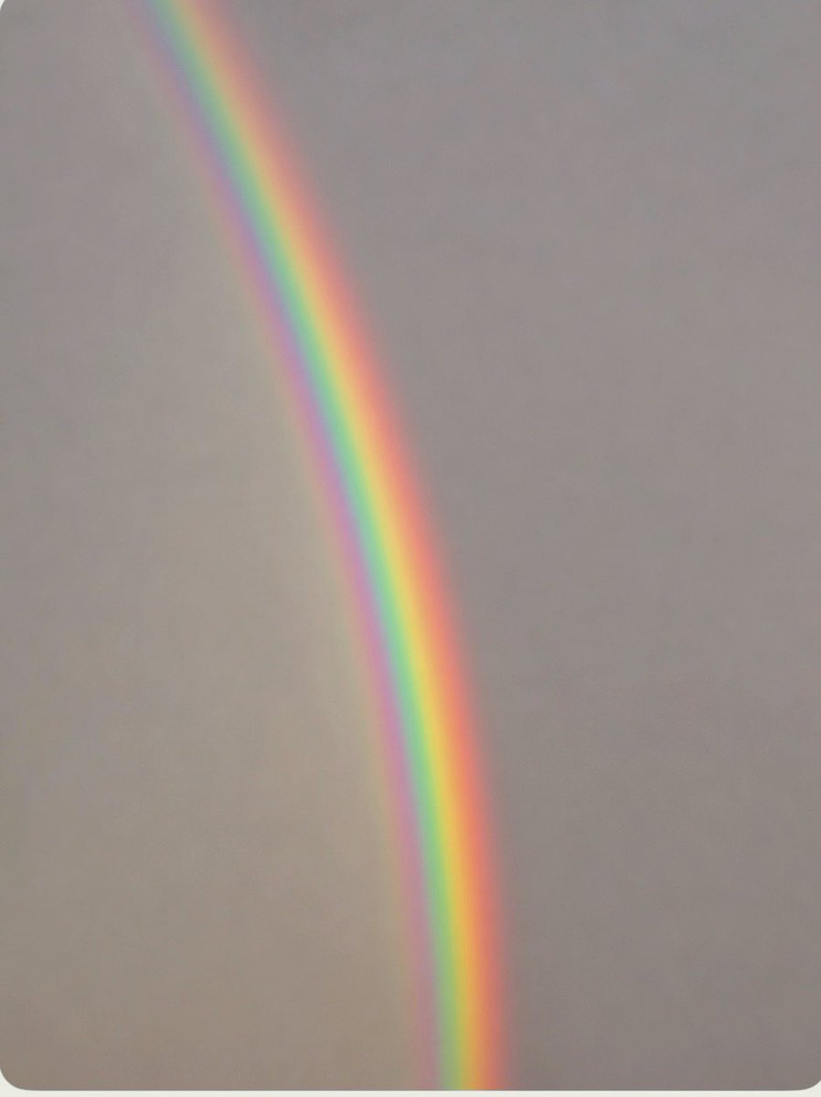 تـركي بـن عبـداللّـه tweet media