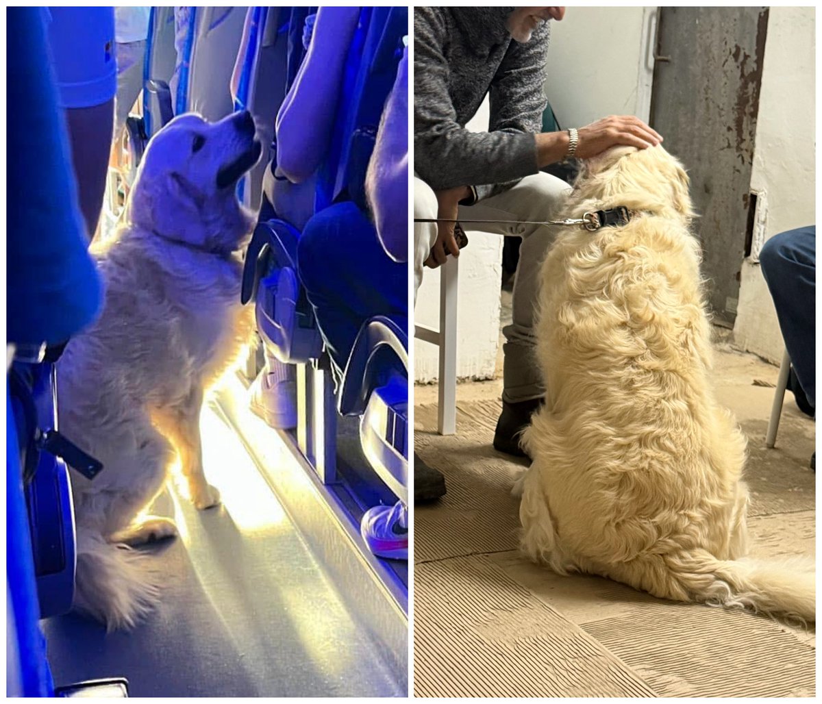 Amir Barkol tweet media