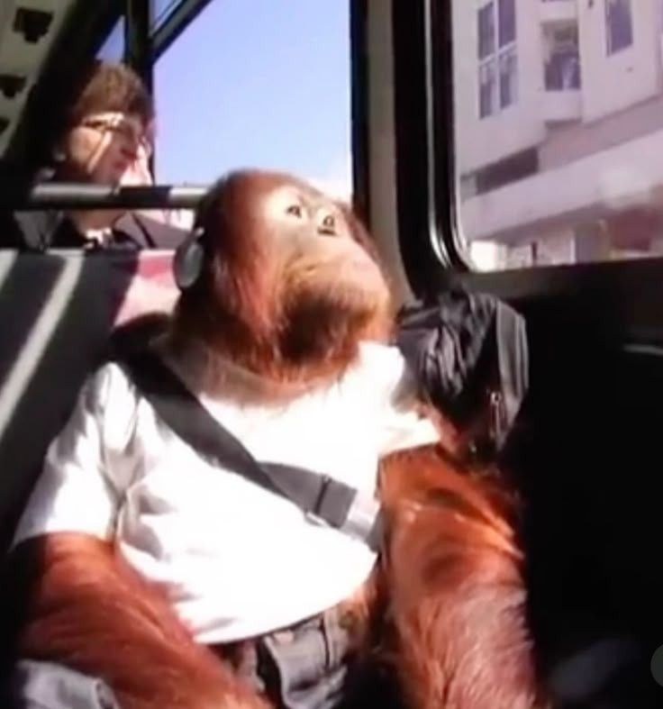 Zero 💻 tweet media