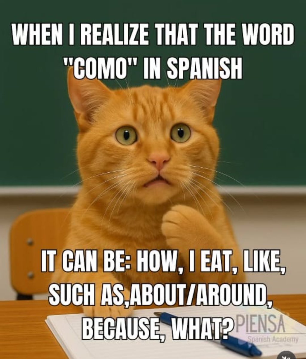 Marina Boschi | Founder Aha Spanish® tweet media