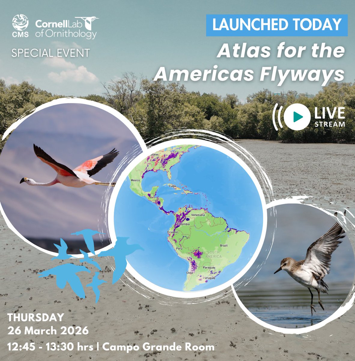 Convention on Migratory Species (CMS) tweet media