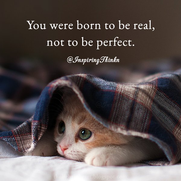 Roy T. Bennett tweet media