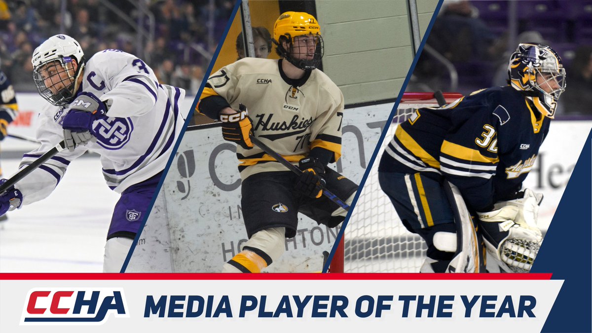 Tech Hockey Guide tweet media