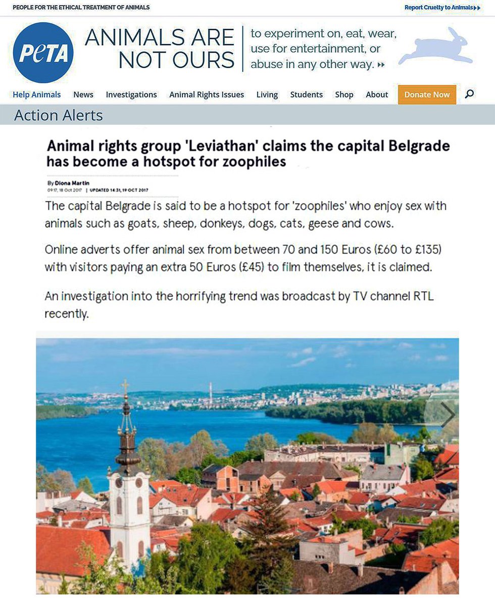 Max 🕸 🌻 tweet media