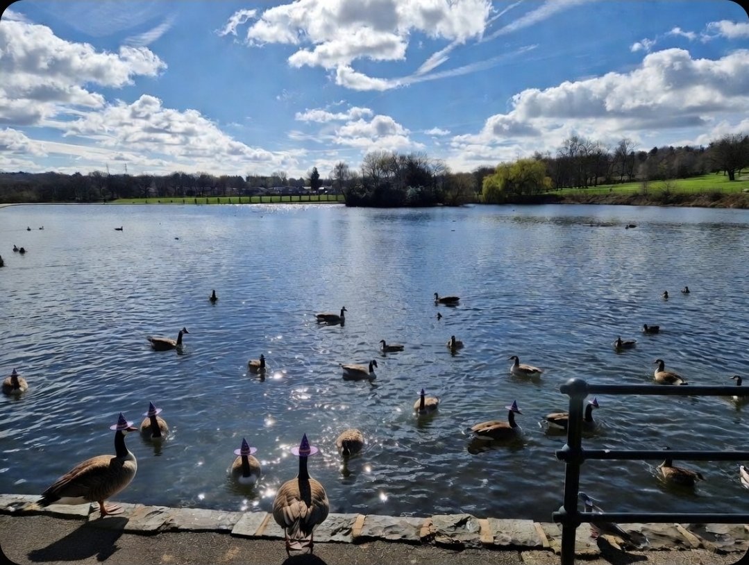 Sliqstar tweet media