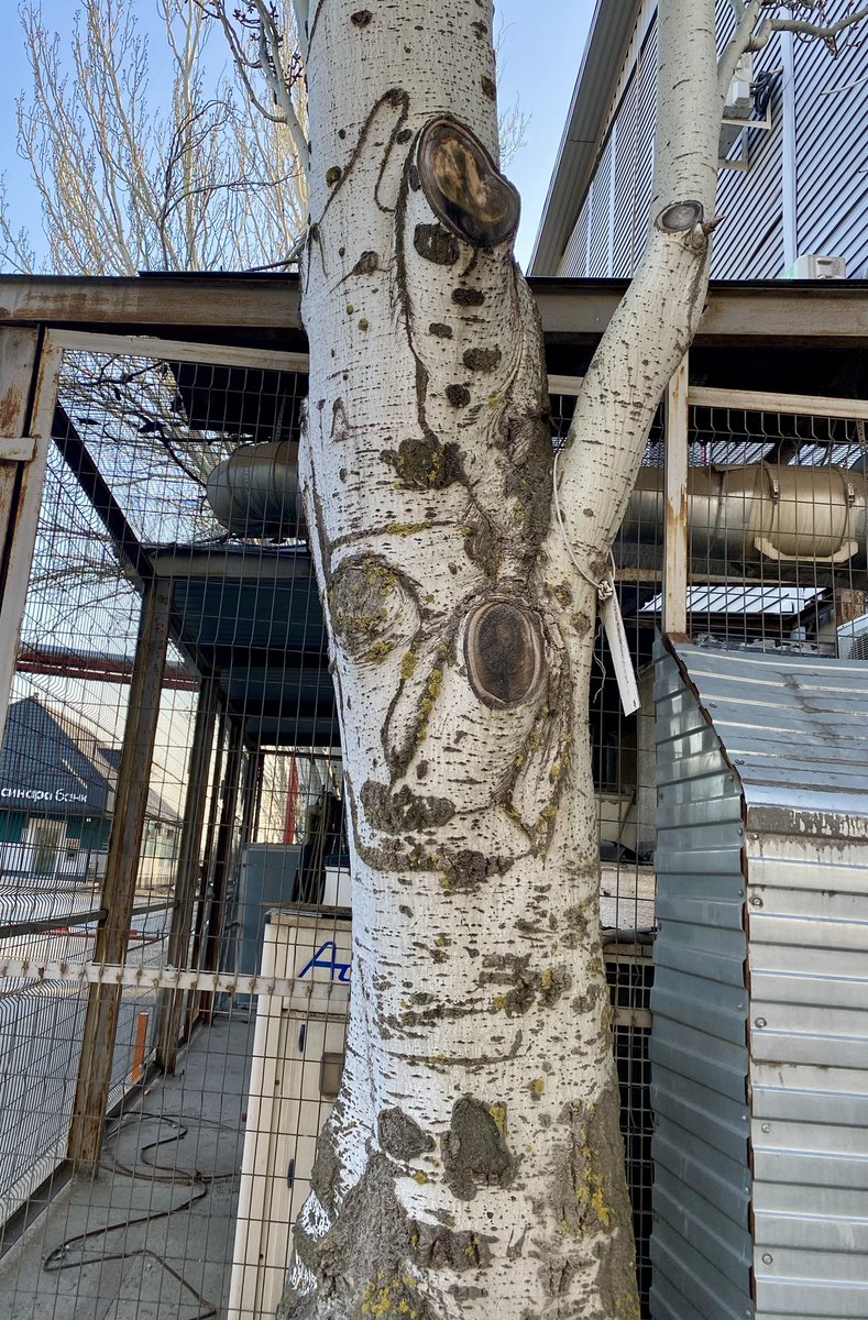 Tatiana♥︎NFT.NYC25 tweet media