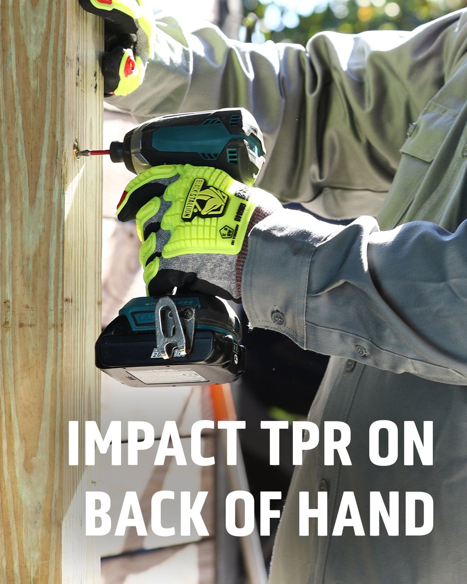 Black Stallion | BSX tweet media