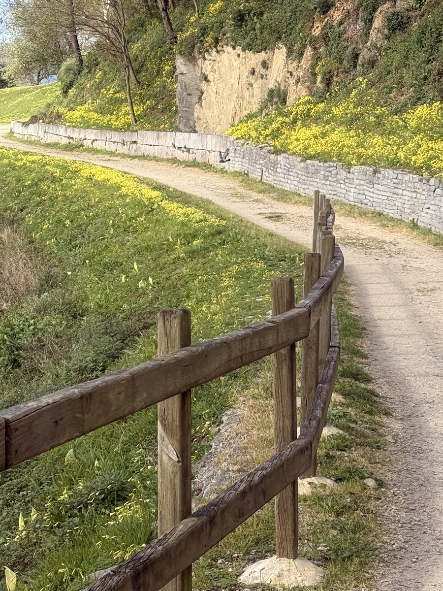 amalia garcia souto tweet media