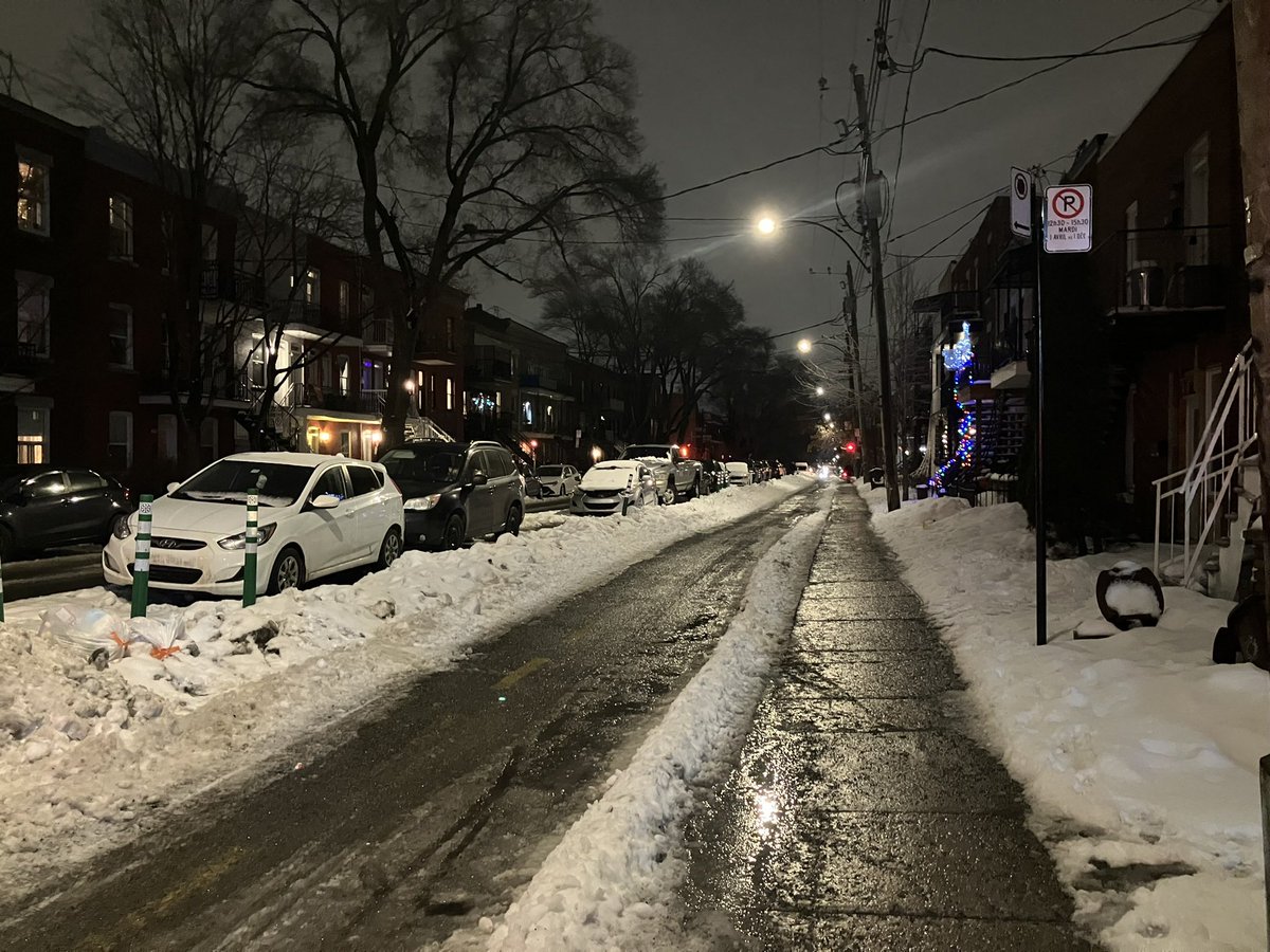 Molly מלכה Cohn 🇵🇸 tweet media