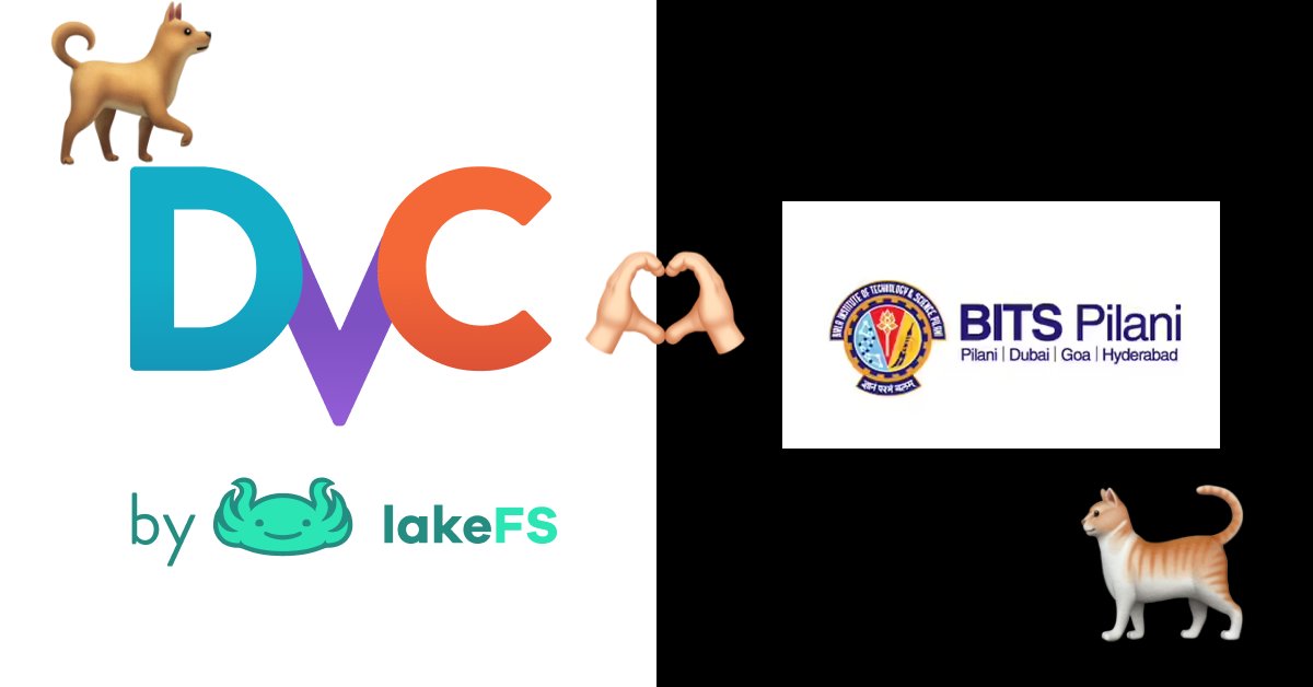 🦉DVC tweet media