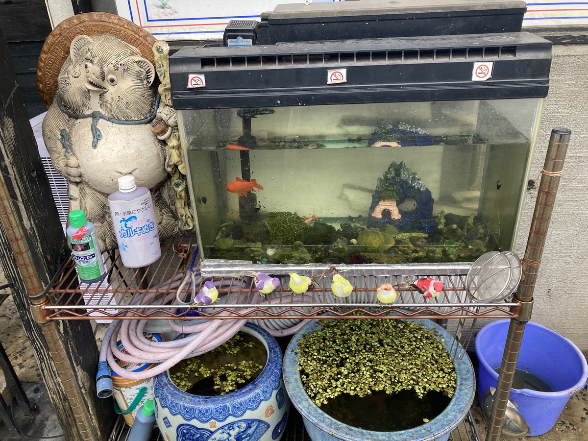 逆柱いみり情報局 tweet media