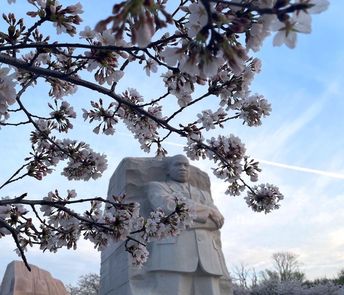 National Mall NPS tweet media