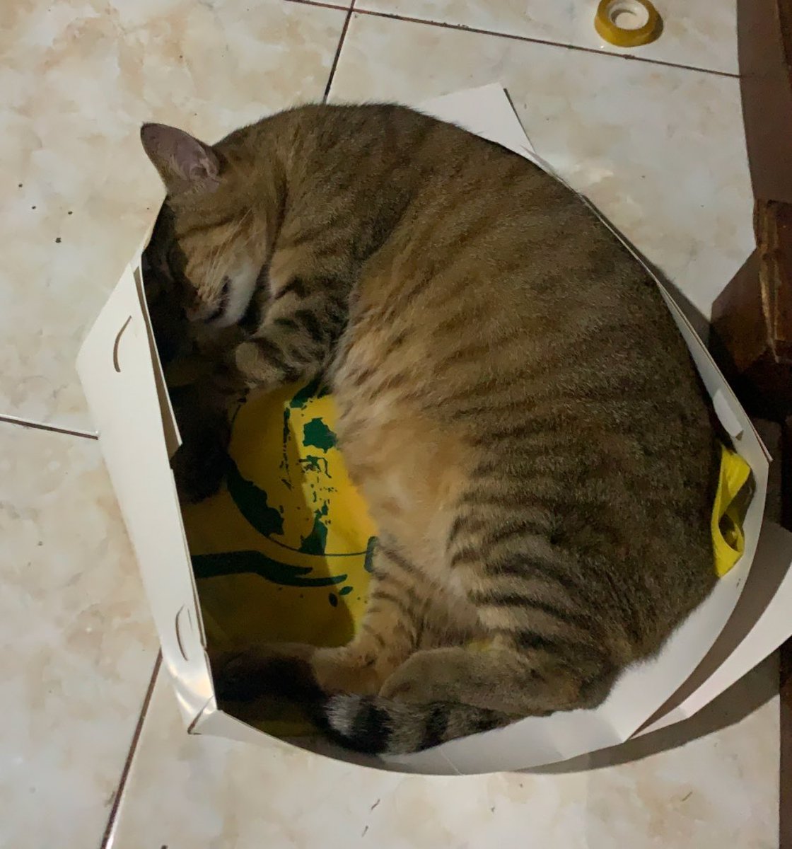 oden 🍢 tweet media