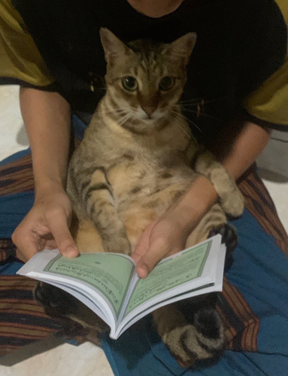 oden 🍢 tweet media