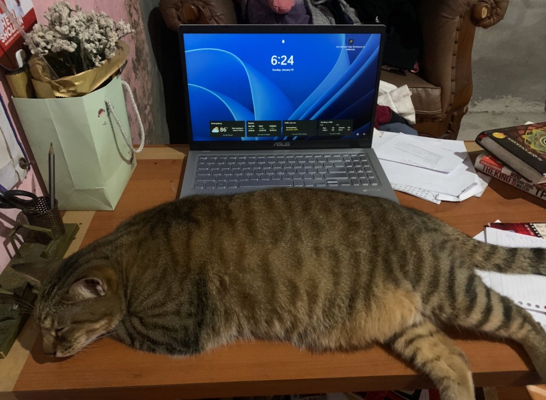 oden 🍢 tweet media