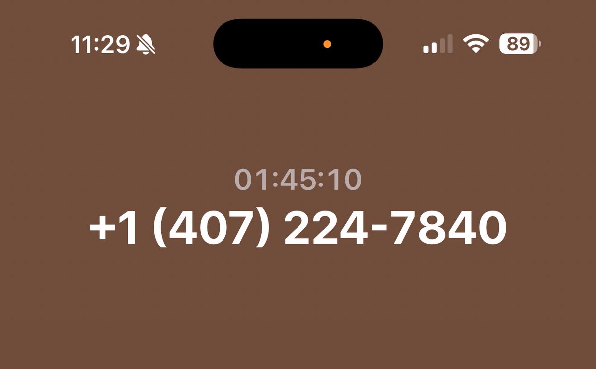 Theme Park Express tweet media