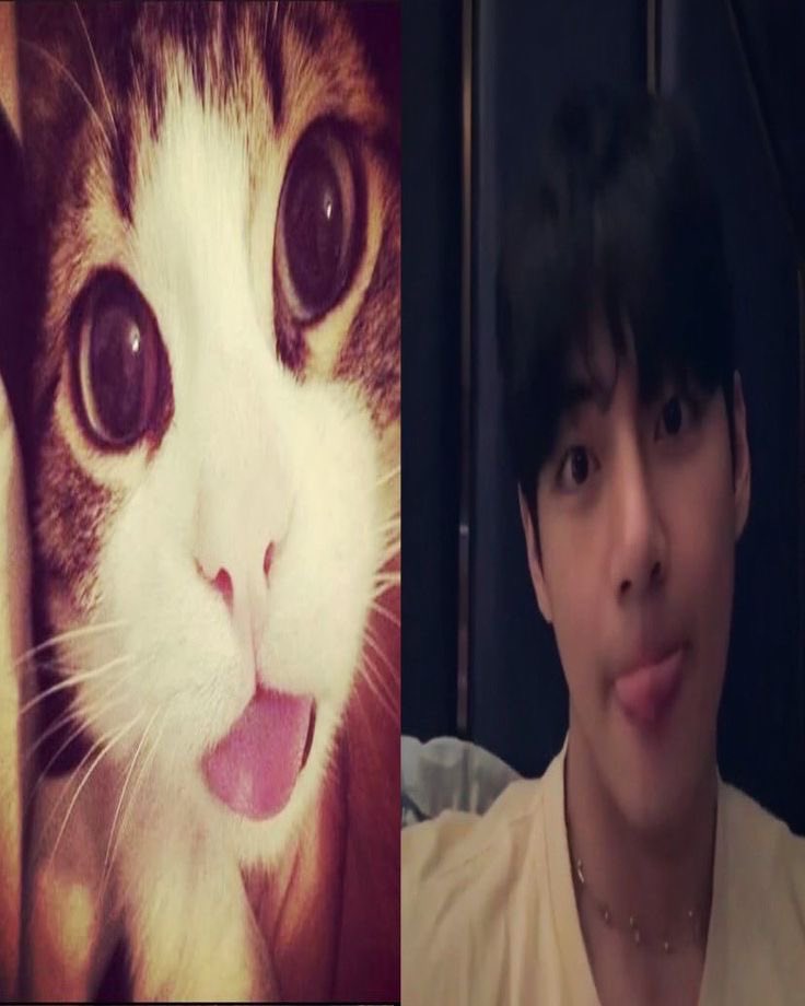 du 🧸 | ⊙⊖⊜ tweet media