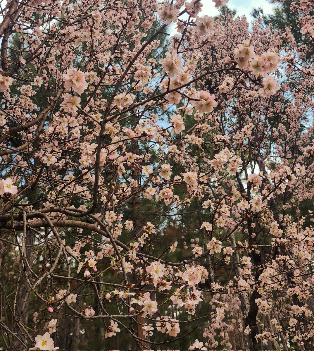 hallolur🍉 tweet media