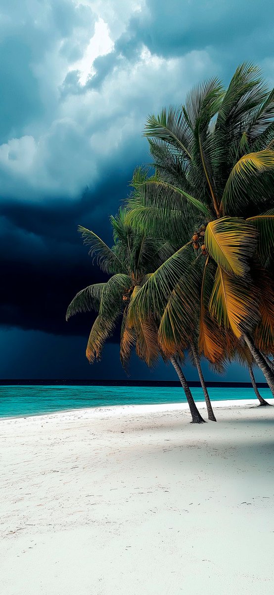 Gallery Hub tweet media