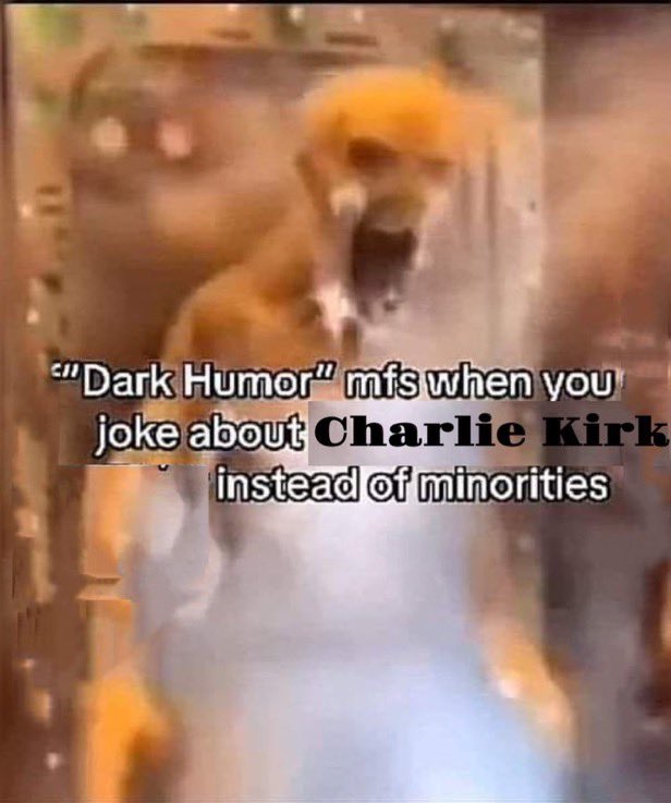 Dominic Fazzolari tweet media