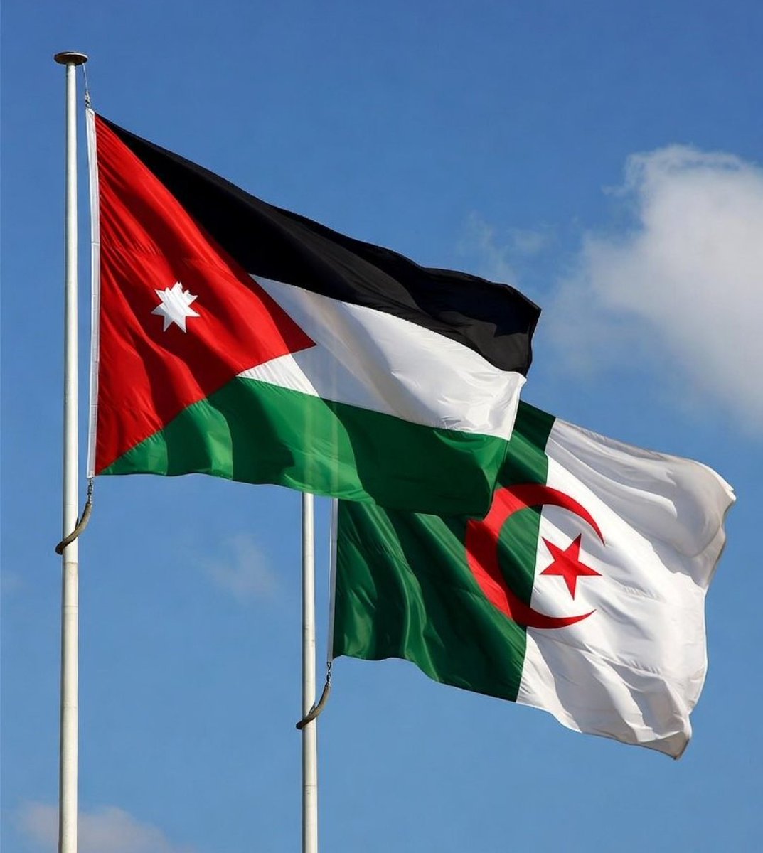 عمر الجزائر 🇩🇿 ❤️🇩🇿 tweet media