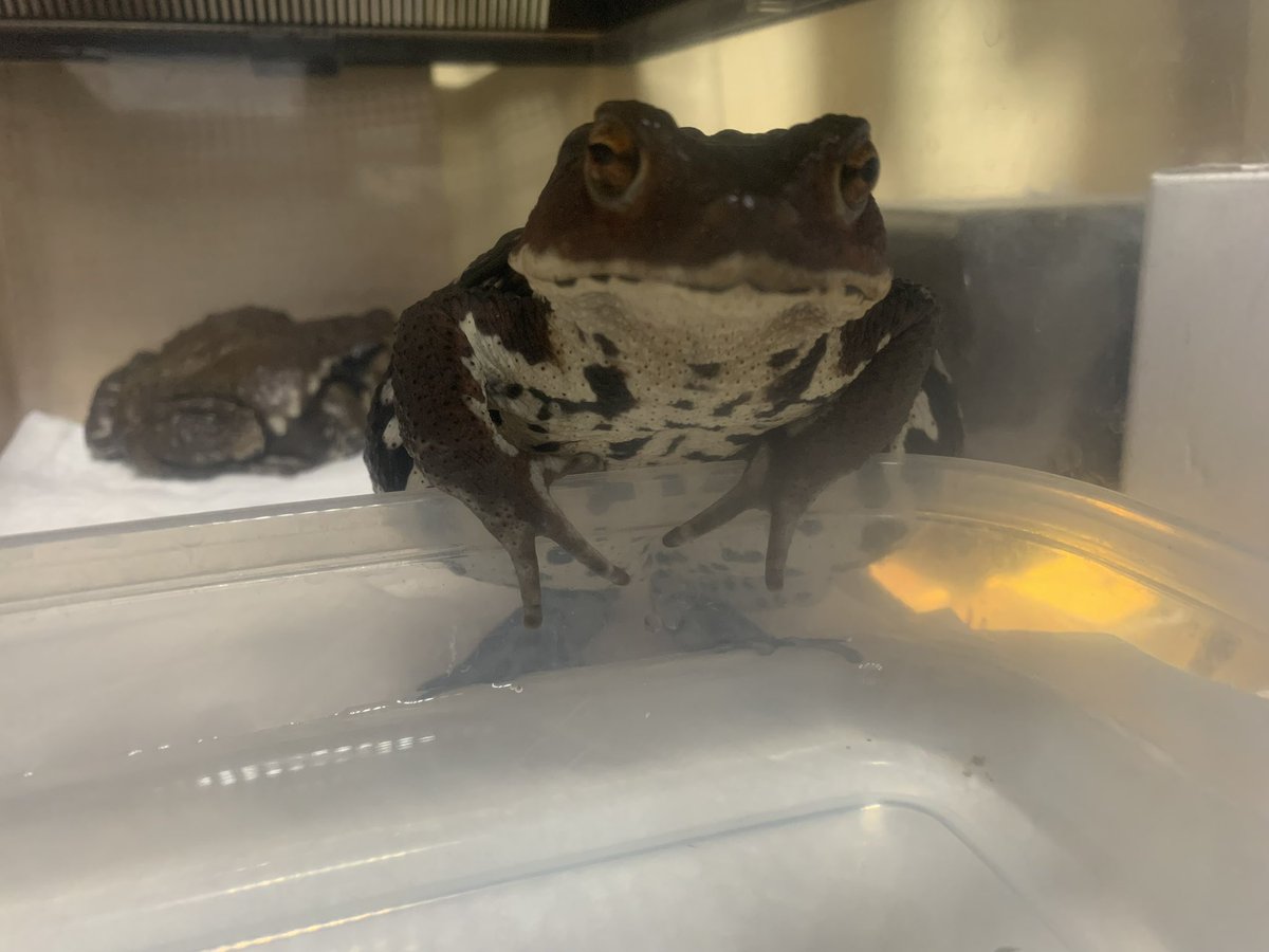 わか👁⛄️ばぶぅ tweet media