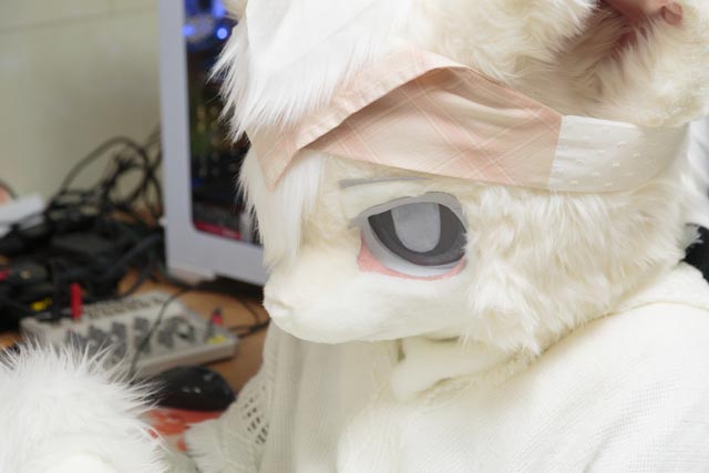 감자토끼_토와 ! 🔜 FURST CLASS🐰🦊 tweet media