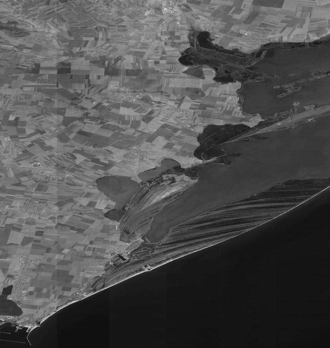 Fred Jansen tweet media