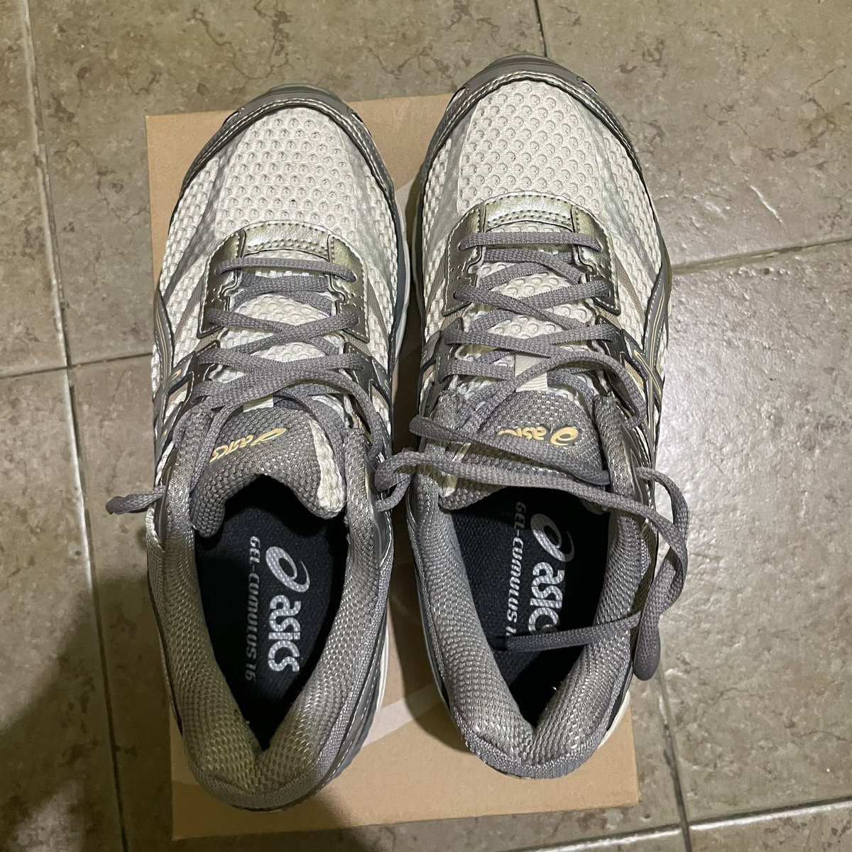 ophelia ³ ⁸¹ ¹² tweet media