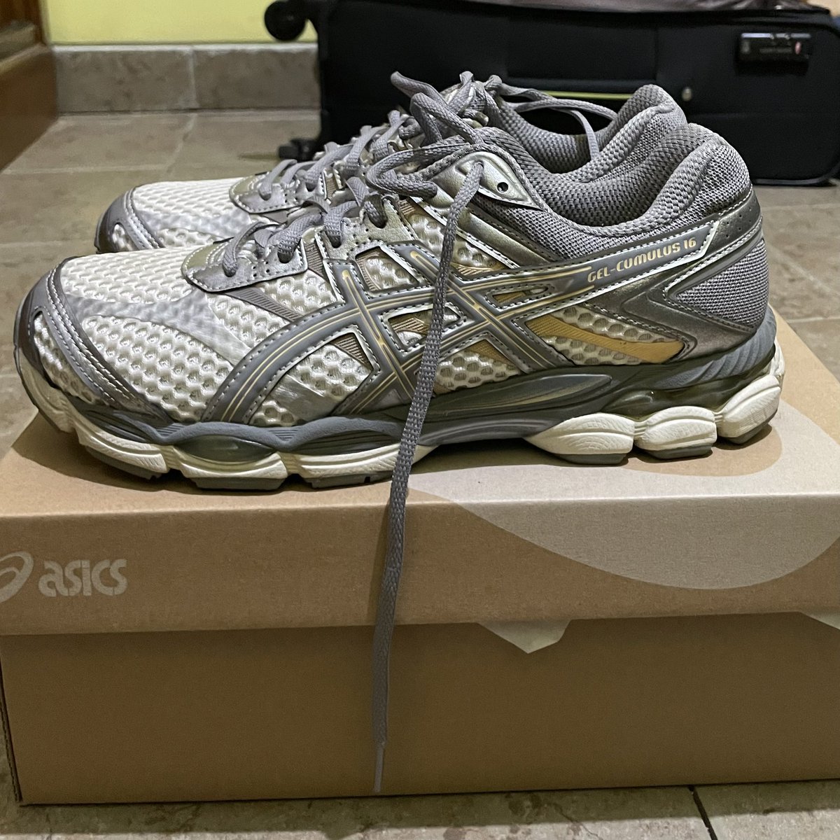 ophelia ³ ⁸¹ ¹² tweet media