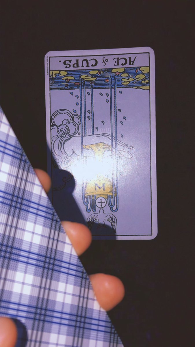 𓋹 МÅRĢÓ ĤΔŸÅTΣ НÏÐΞҚĪ 𓋹 tweet media