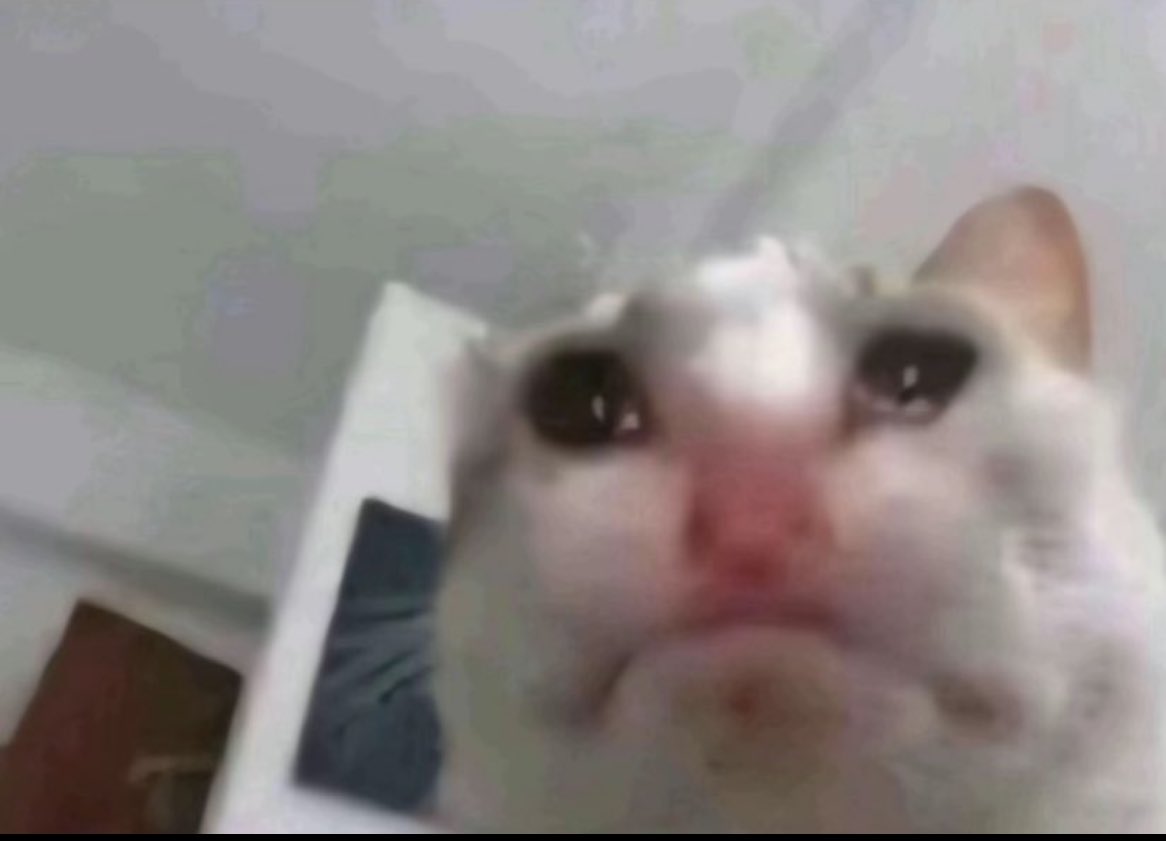 imarieme 🇵🇸 tweet media