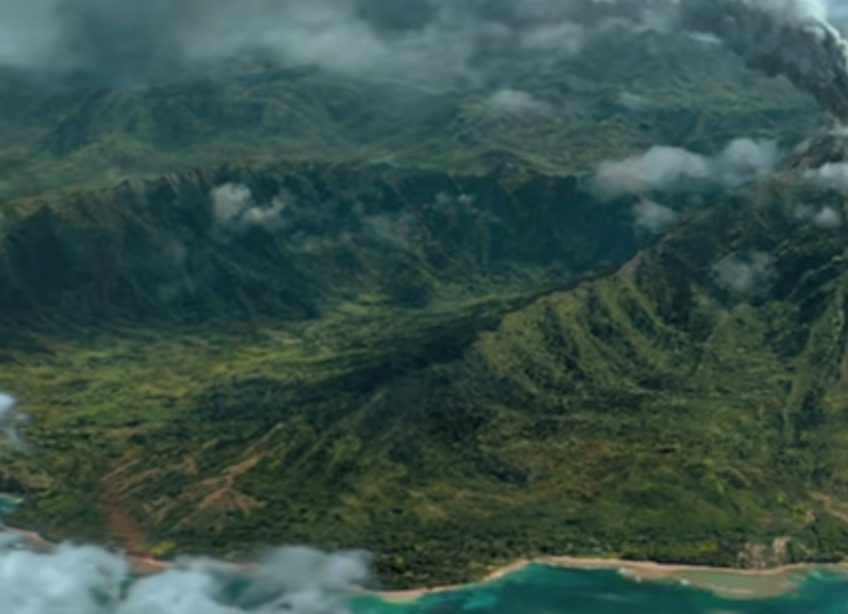 swan2swan tweet media