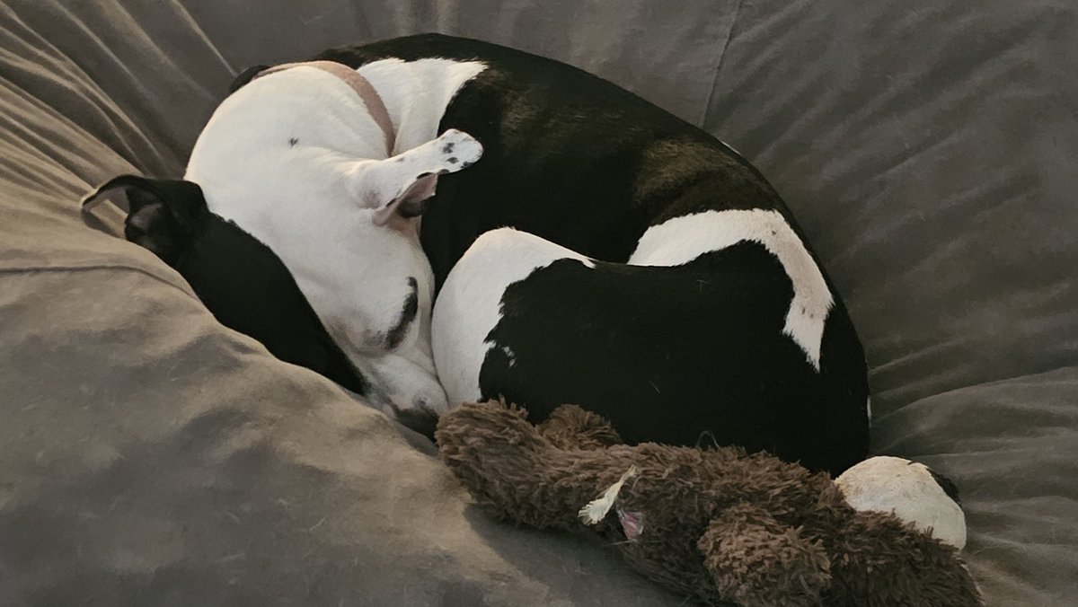 SlygrinVT 🎭💜| MOVING TO FL tweet media