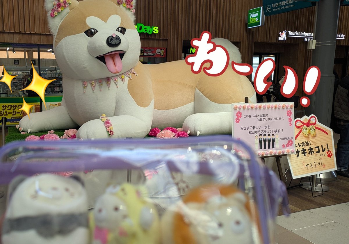 ひとは tweet media