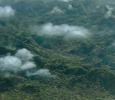 swan2swan tweet media