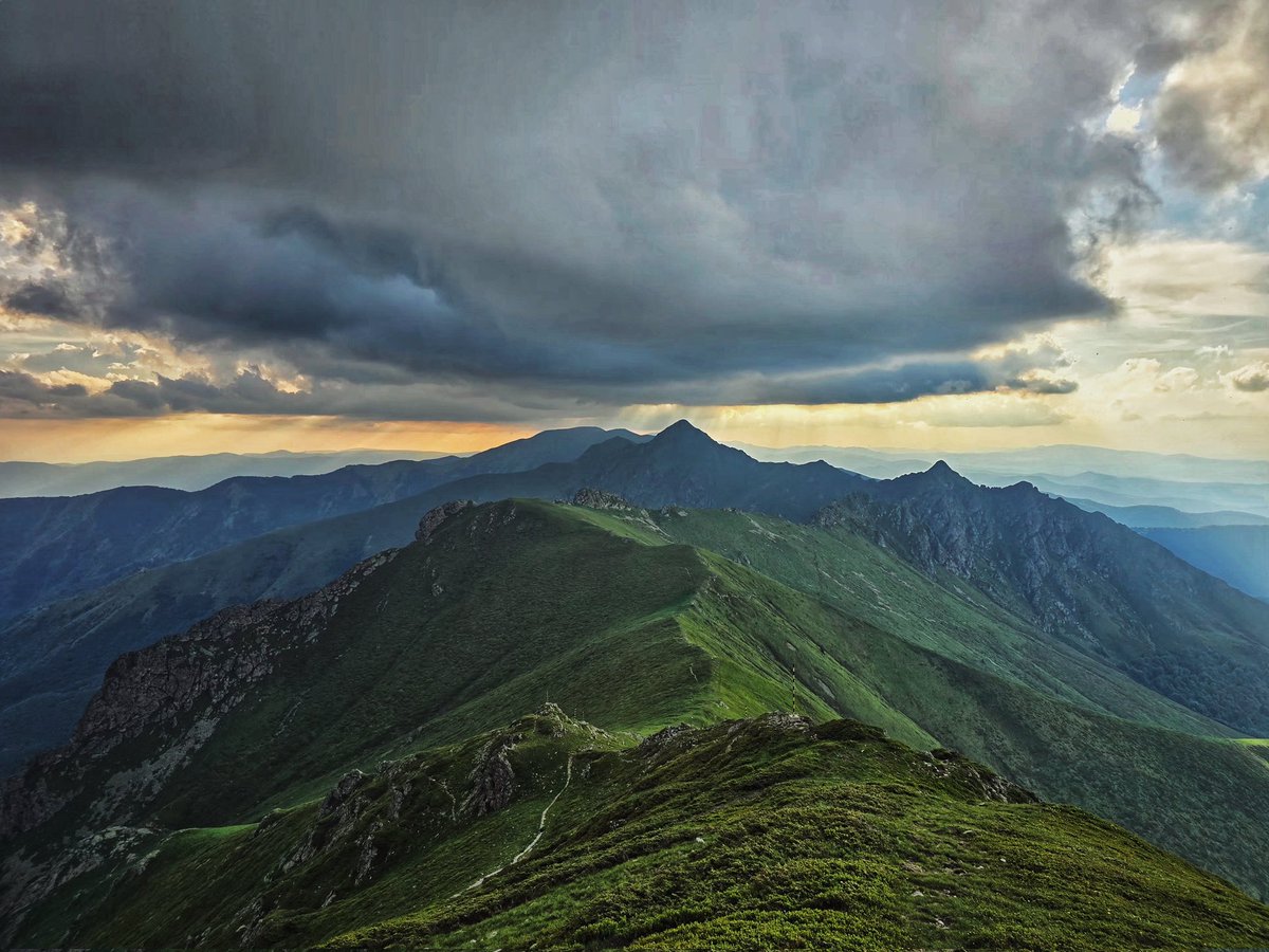 проблематична личност tweet media