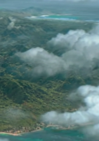 swan2swan tweet media