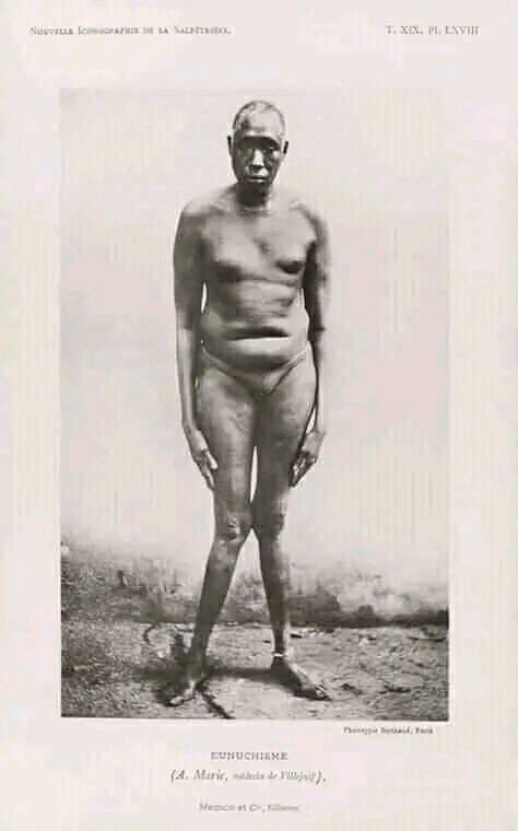 Zoom Afrika tweet media