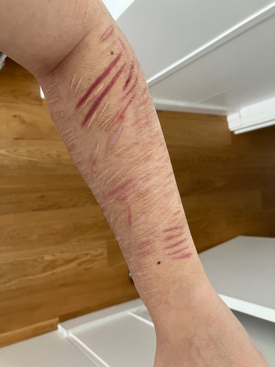 ꧁ 𝓟𝓶𝔃𝓪𝓲 𝓸𝓯 𝓼𝓱𝓮𝓭𝓽𝔀𝓽 ꧂ tweet media