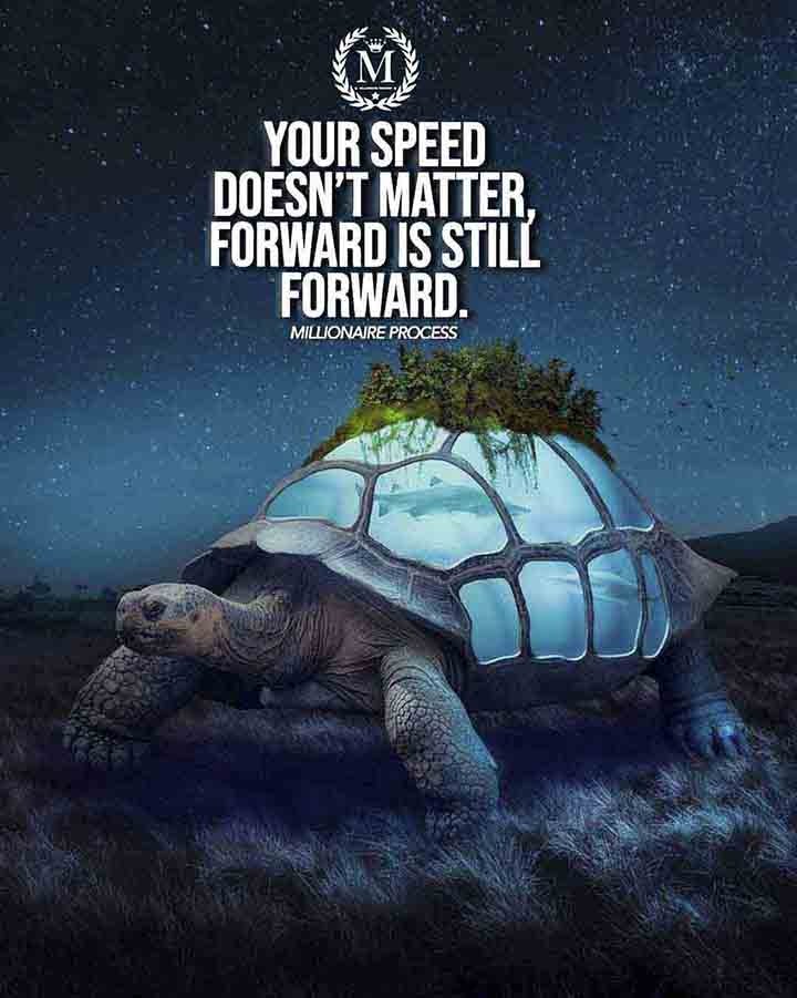 🏆🏆🏆KING RAM SINGH THE GREAT🏆🏆🏆 tweet media