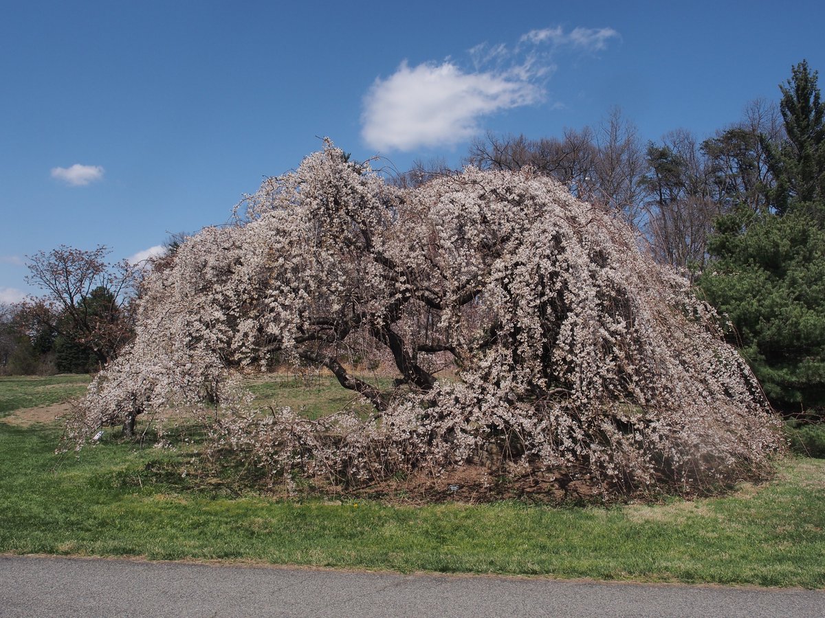 Agricultural Research Service tweet media