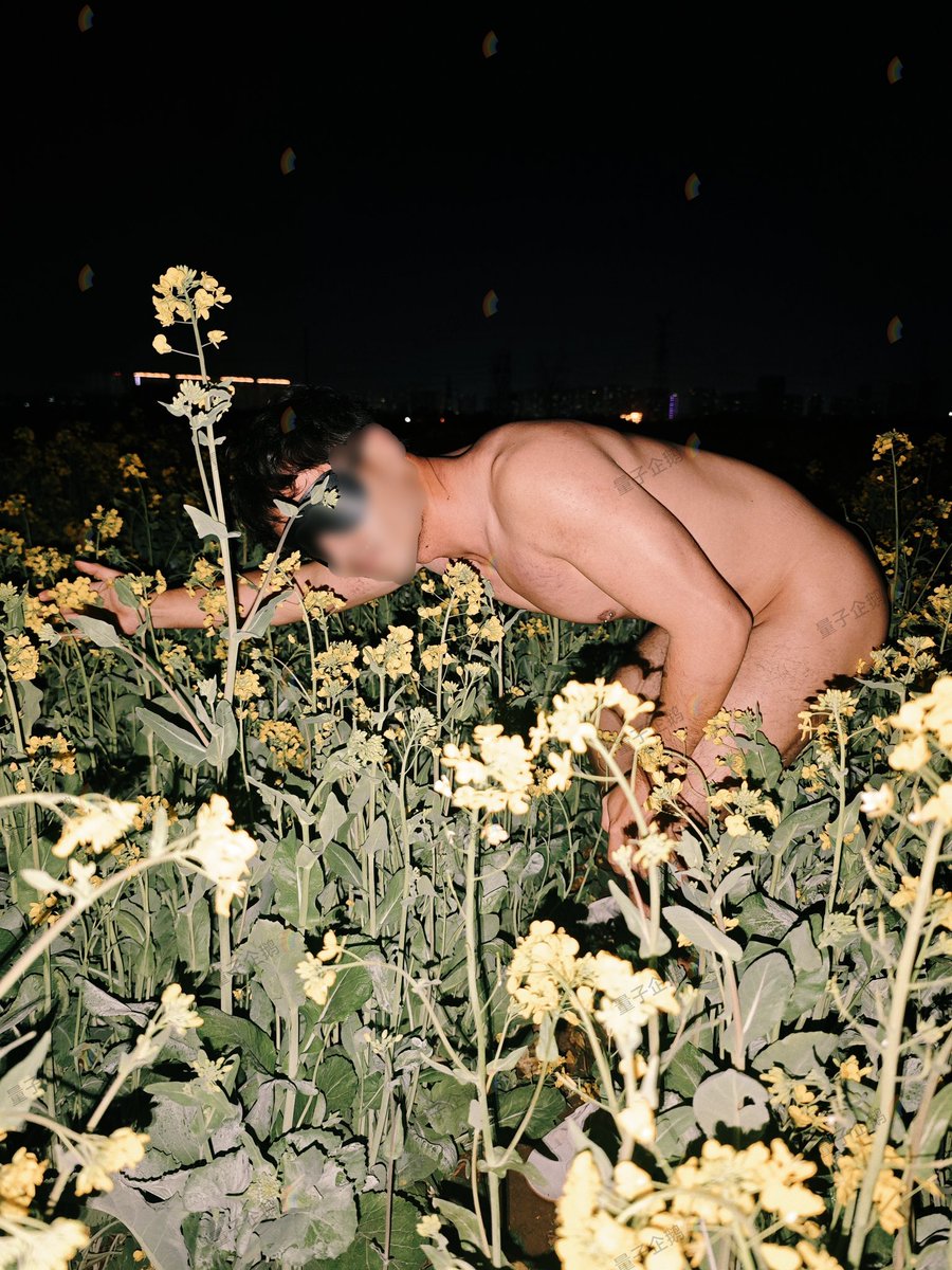 量子企鹅🌈 tweet media