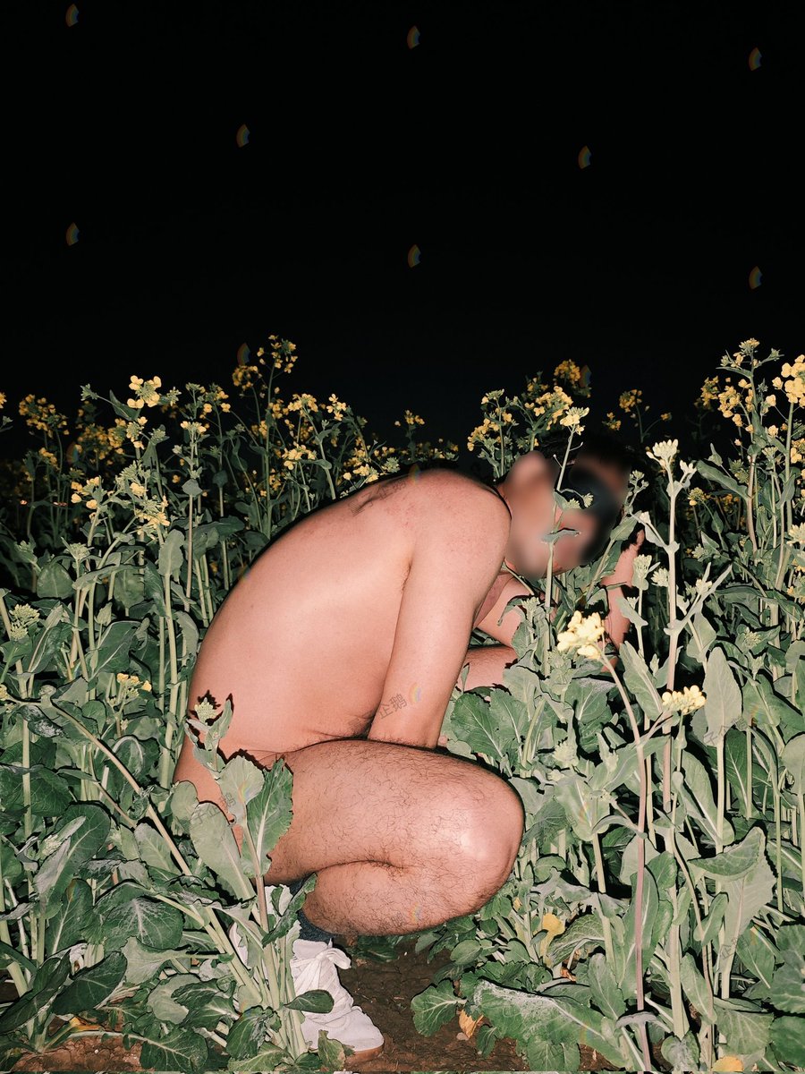 量子企鹅🌈 tweet media