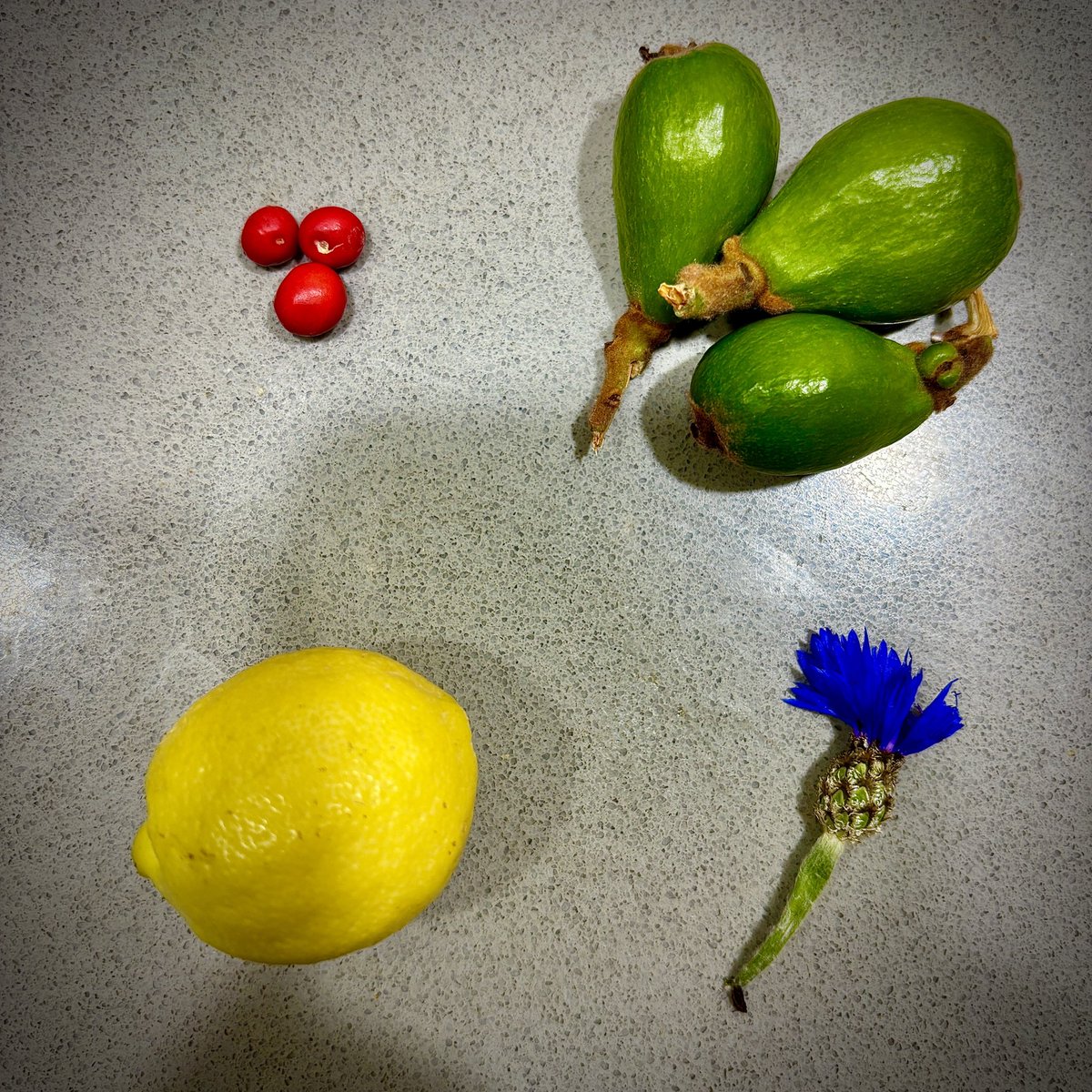 DonkyShot tweet media