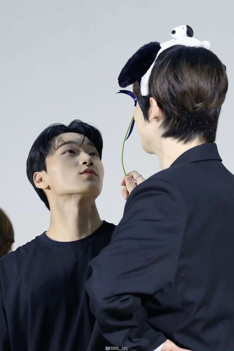 Serenade·•ੈ✩‧ tweet media