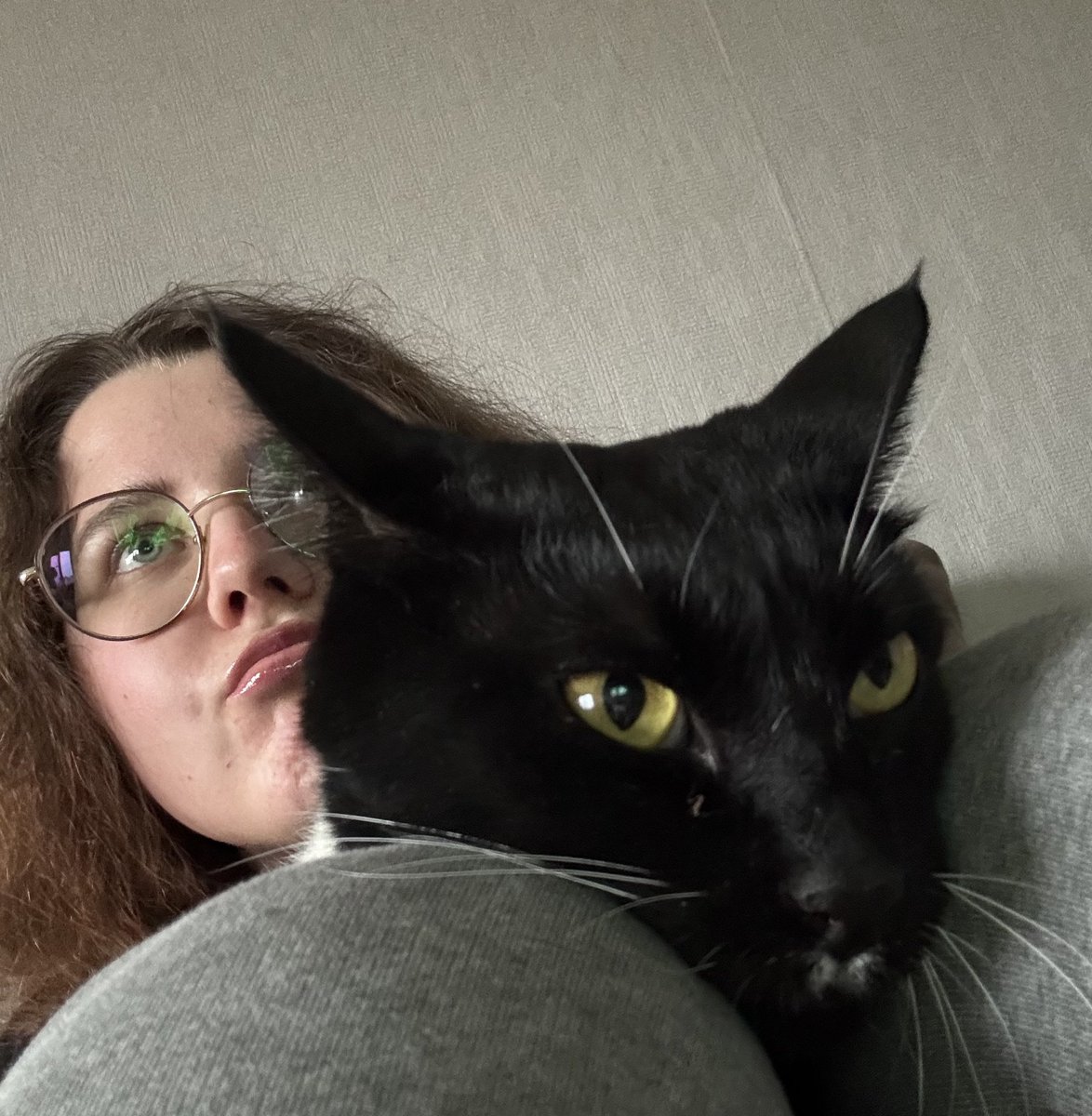 The fact that my cat came to me right before ilia’s program 😭😭😭 HE KNOWS