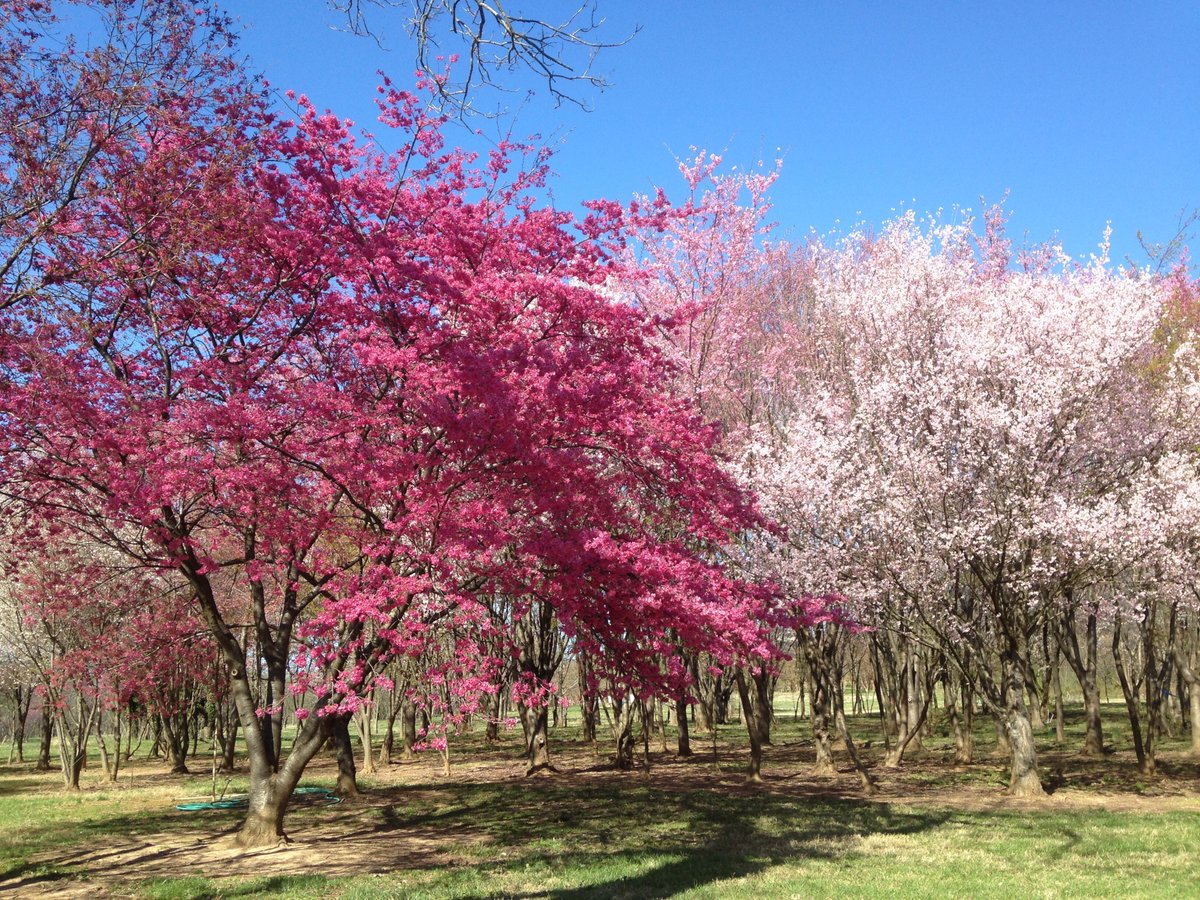 Agricultural Research Service tweet media